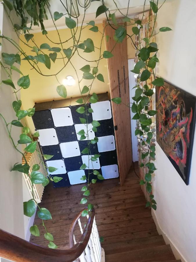 Apartamento La Chambre D'Hote De Christelle Cherbourg-en-Cotentin Exterior foto